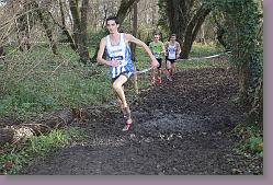 Begles 15.12.13 01 1061 * 679 x 453 * (189KB)